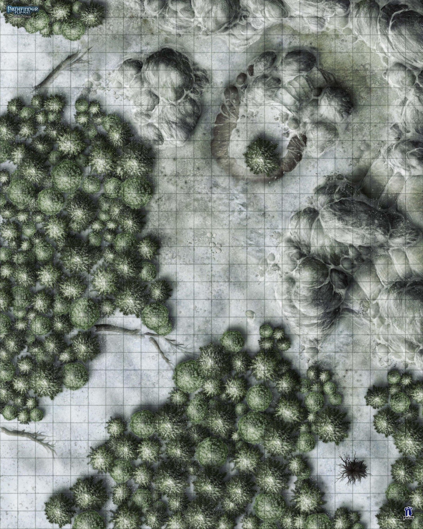 PZO30068 Winter Forest