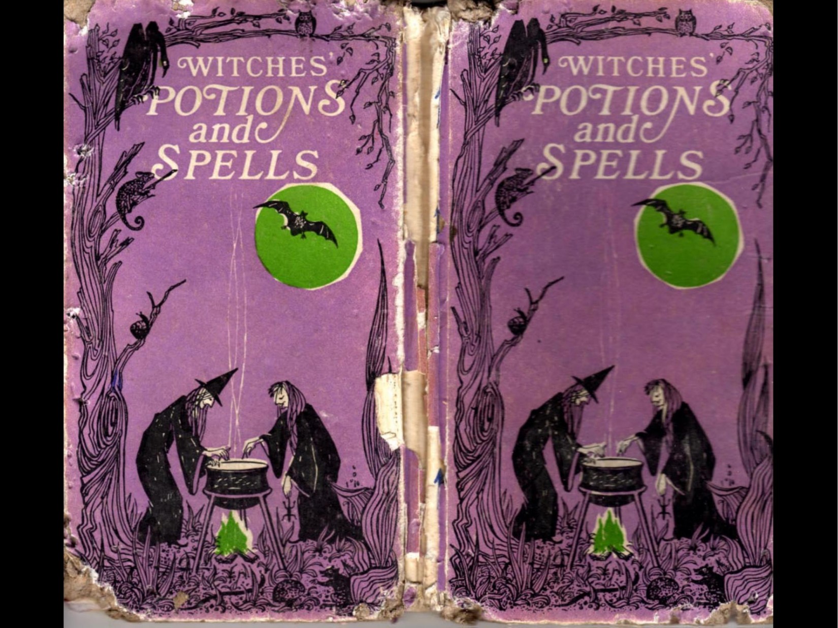 Witches Potions & Spells