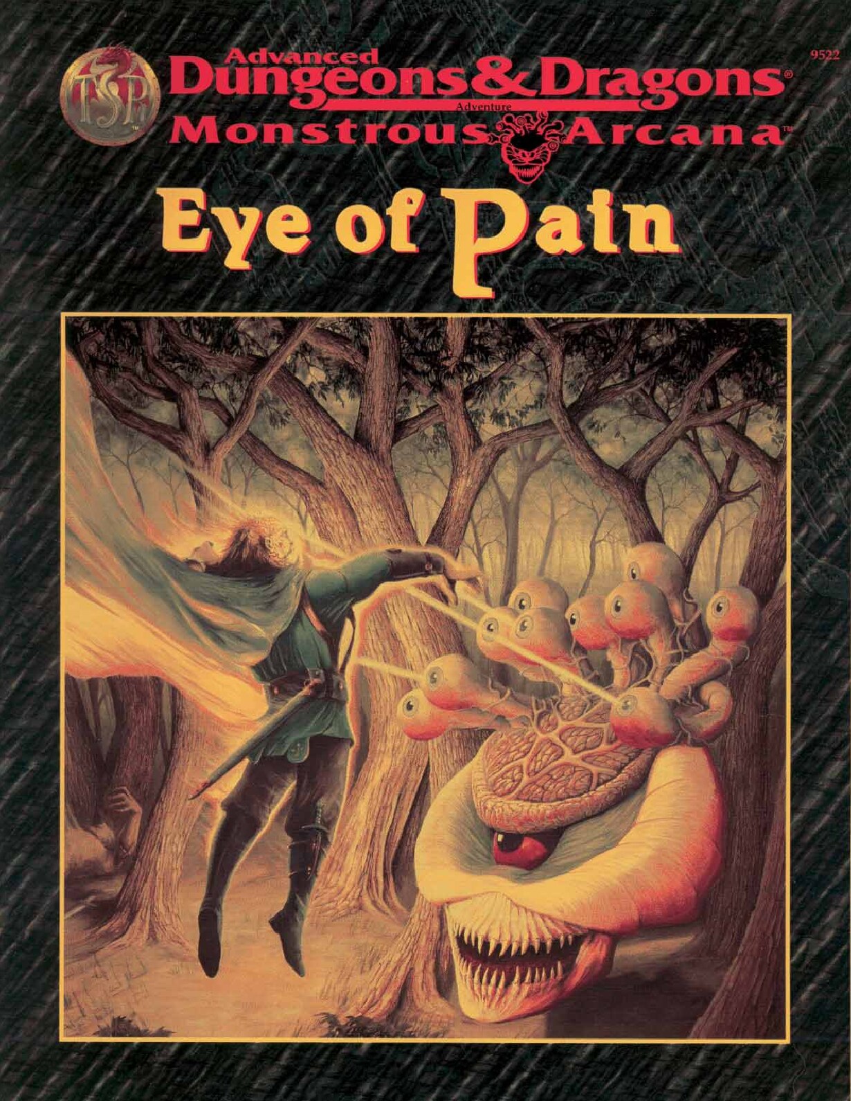 TSR 9522 Eye of Pain
