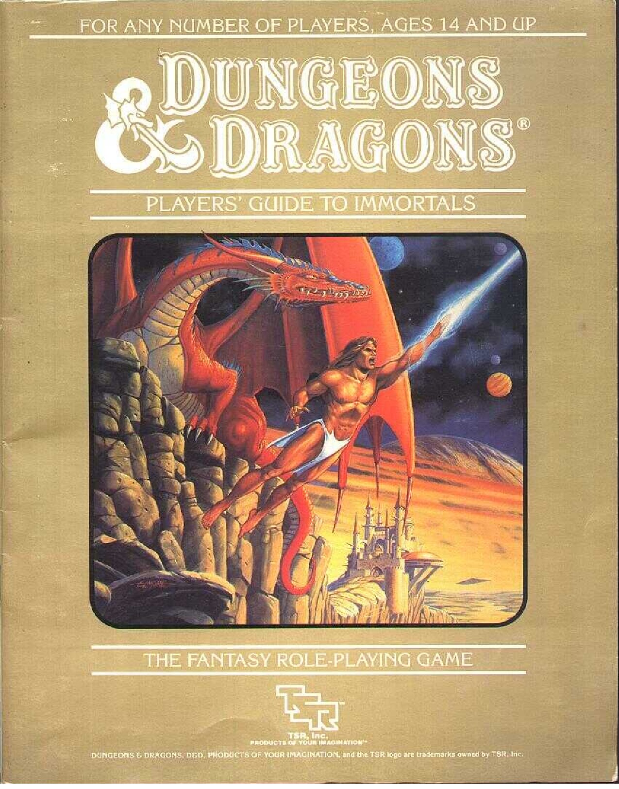 TSR 1017 Set 5 Immortals Rules