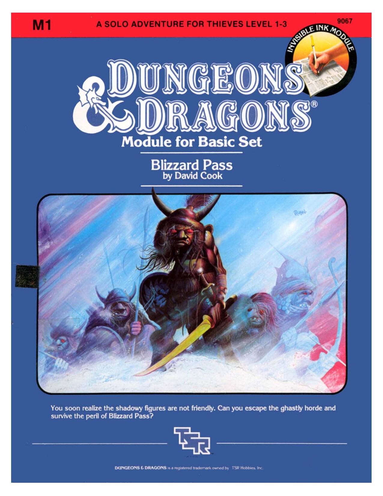 tsr9067 - M1 - Blizzard Pass