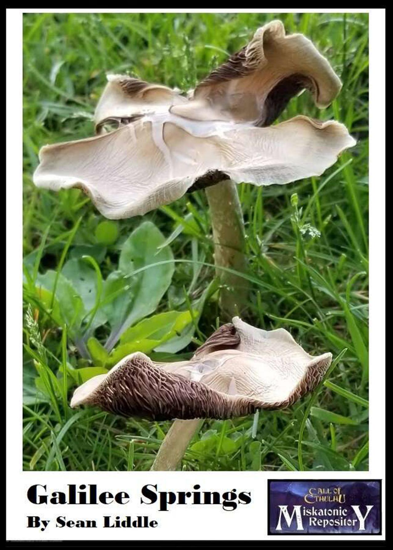 CoC - Miskatonic Repository - Modern Era